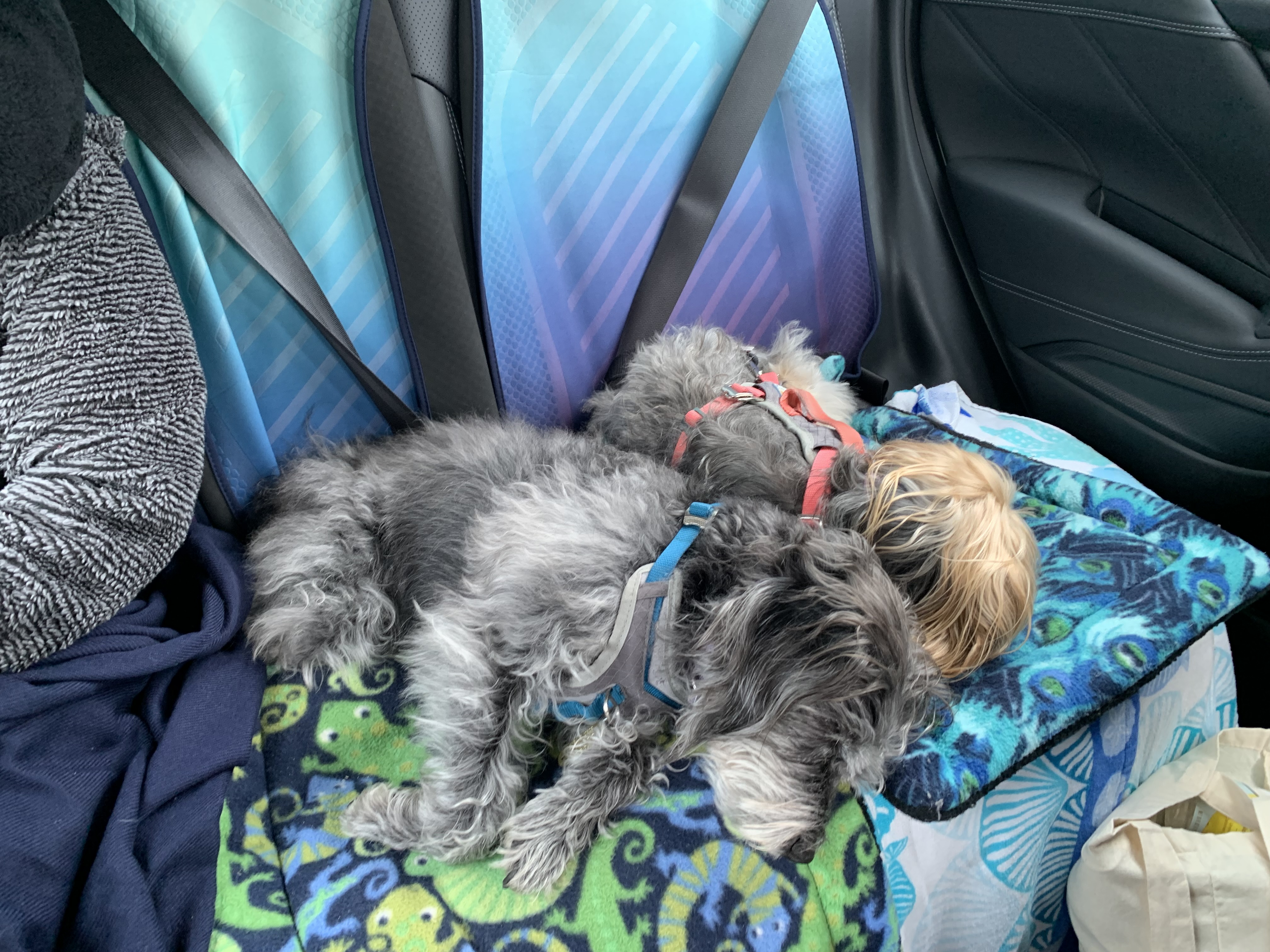 ./2022/06 - St Louis/02 - Day 2/20220522-094905360.JPG